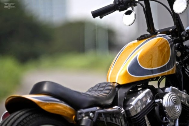 Sportster-Forty-Eight-HiDeMo-4